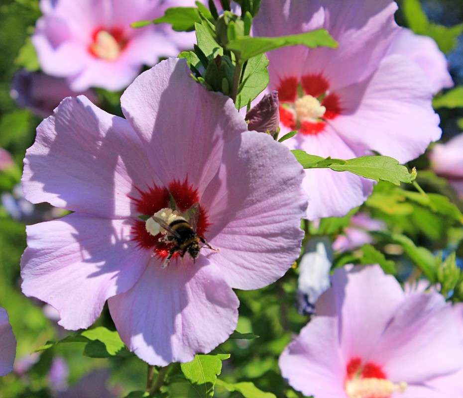 ... ����� �����  �� PhotoGeek.ru #������ ��� ������� #����� ��������������