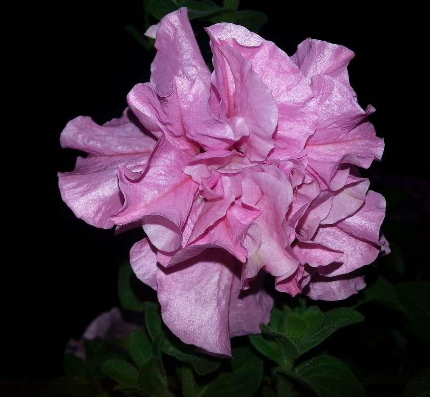 �������� ����� �����  �� PhotoGeek.ru #������ ��� ������� #����� ��������������