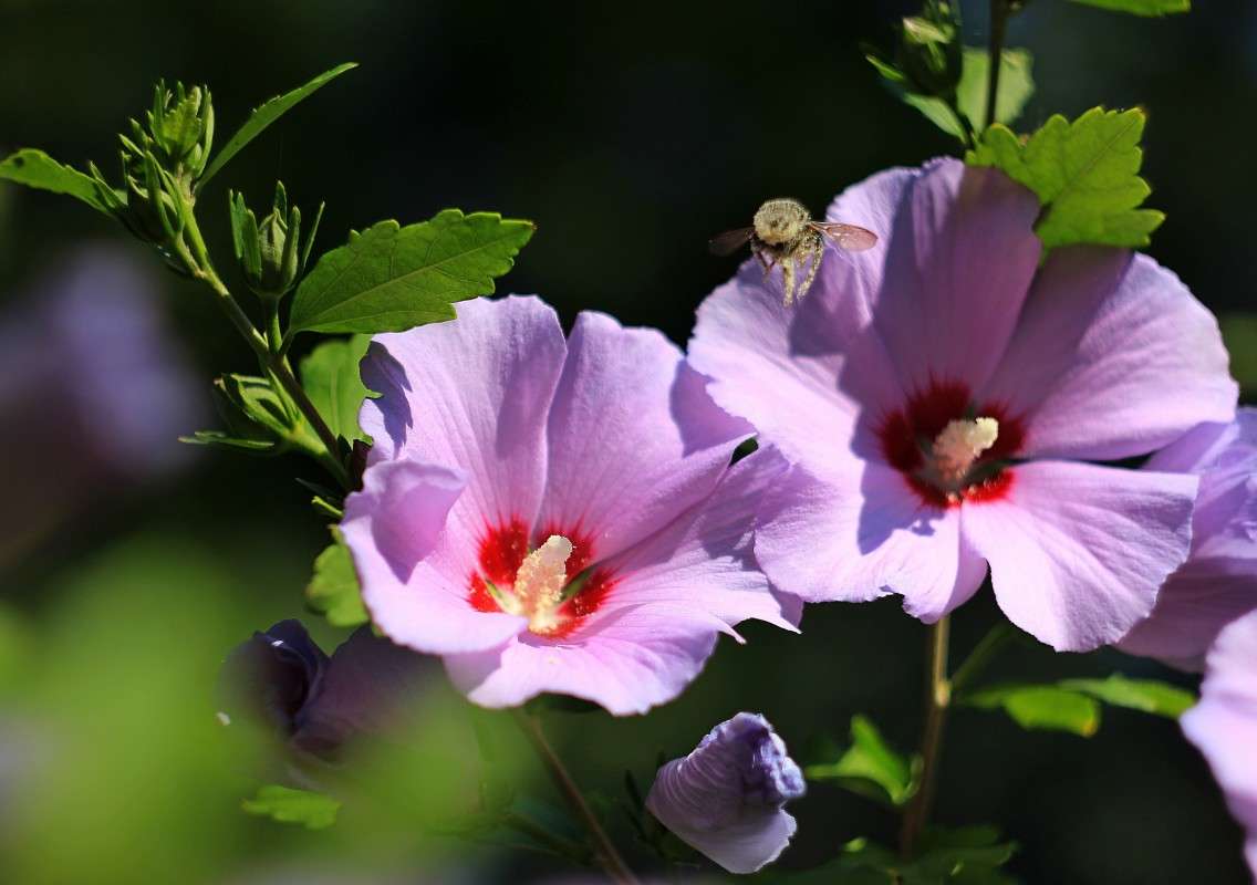 ������� ����� �����  �� PhotoGeek.ru #������ ��� ������� #����� ��������������