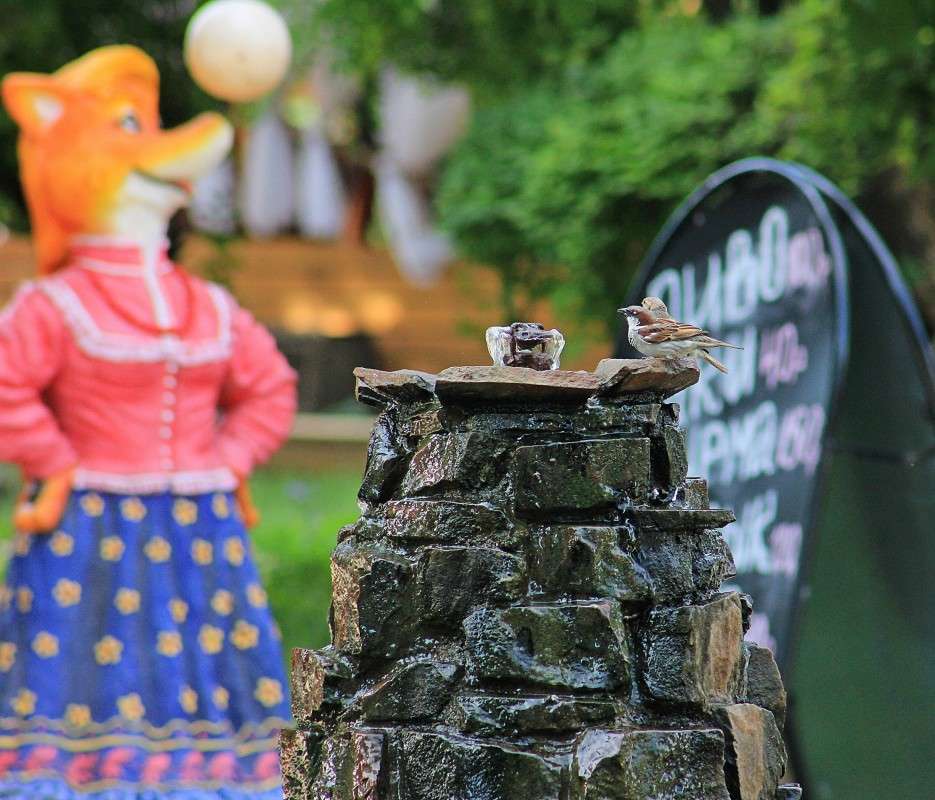 � ������� ���� ��� ����� �����  �� PhotoGeek.ru #����� ��������