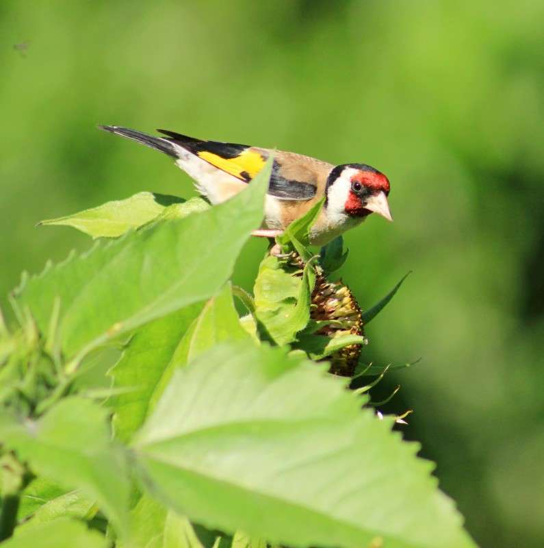 ��������� ����� �����  �� PhotoGeek.ru #�������� ��� #����� ��� ��� ���������