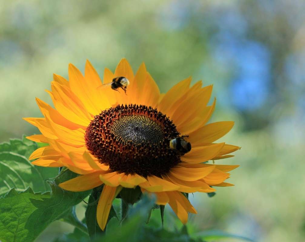 ����� � ��� ����� �����  �� PhotoGeek.ru #������ ��� ������� #����� ��������������