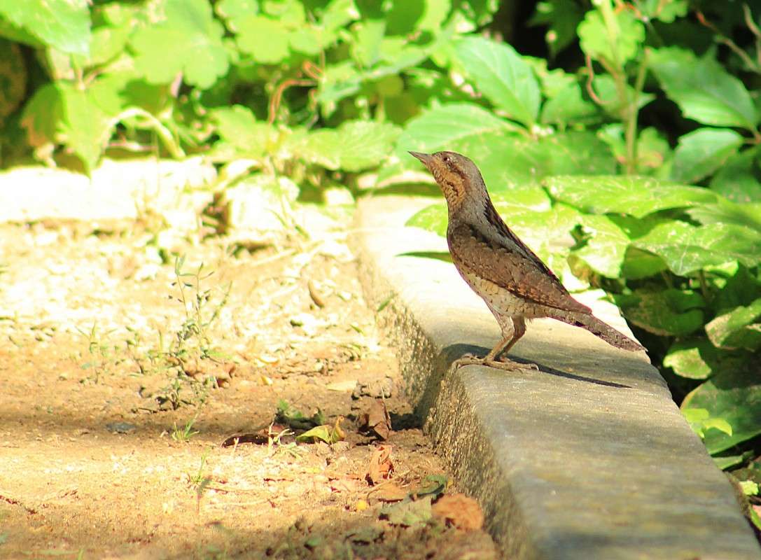 ���������� ����� �����  �� PhotoGeek.ru #�������� ��� #����� ��� ��� ���������