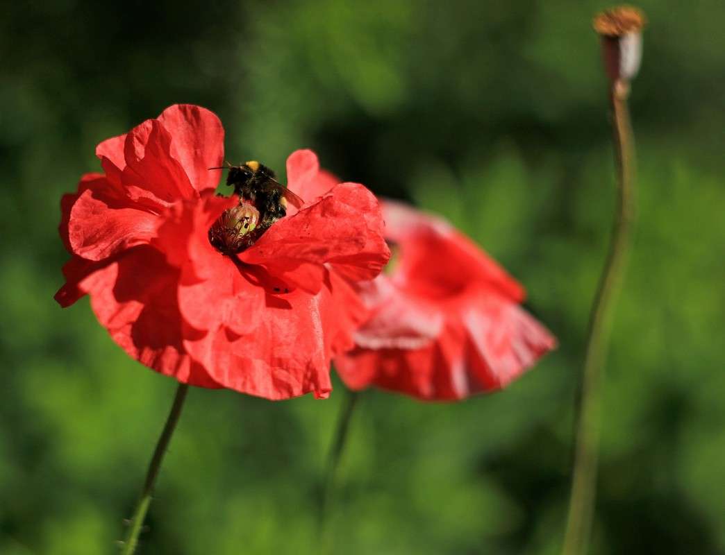 ����� �� ����� � ��������) ����� �����  �� PhotoGeek.ru #������ ��� ������� #����� ��������������