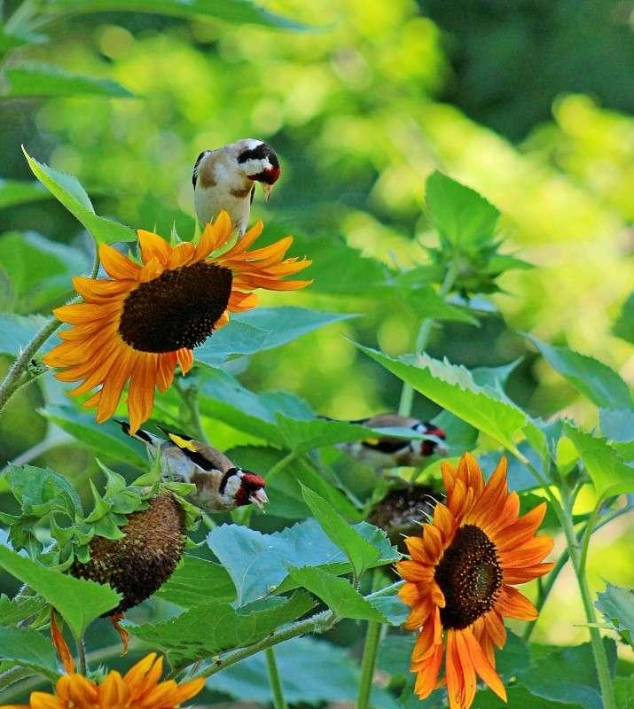 ��� ���������? ����� �����  �� PhotoGeek.ru #�������� ��� #������ ��� ������� #����� ��� ��� ��������� #����� ��������������