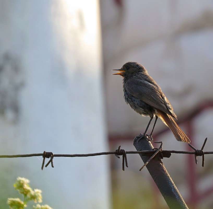 ����������� 1 ����� �����  �� PhotoGeek.ru #�������� ��� #����� ��� ��� ���������