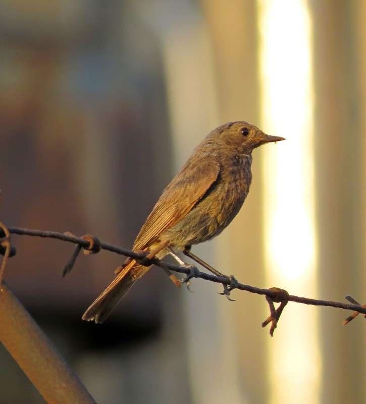 ����������� 2 ����� �����  �� PhotoGeek.ru #�������� ��� #����� ��� ��� ���������