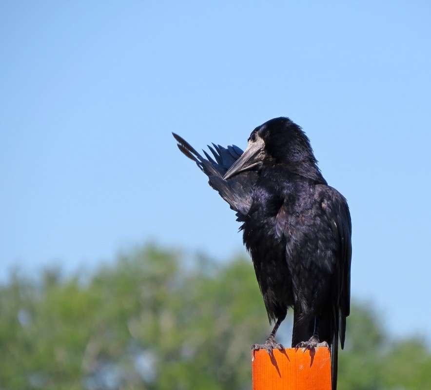 ������� ����� ��������.. ����� �����  �� PhotoGeek.ru #�������� ��� #����� ��� ��� ���������