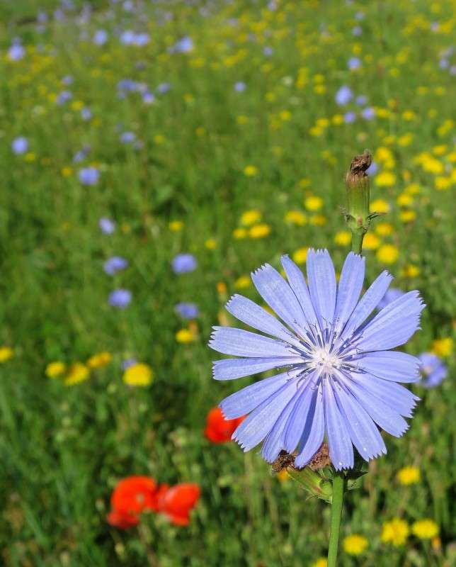 ������� � ��������.. ����� �����  �� PhotoGeek.ru #������ ��� ������� #����� ��������������