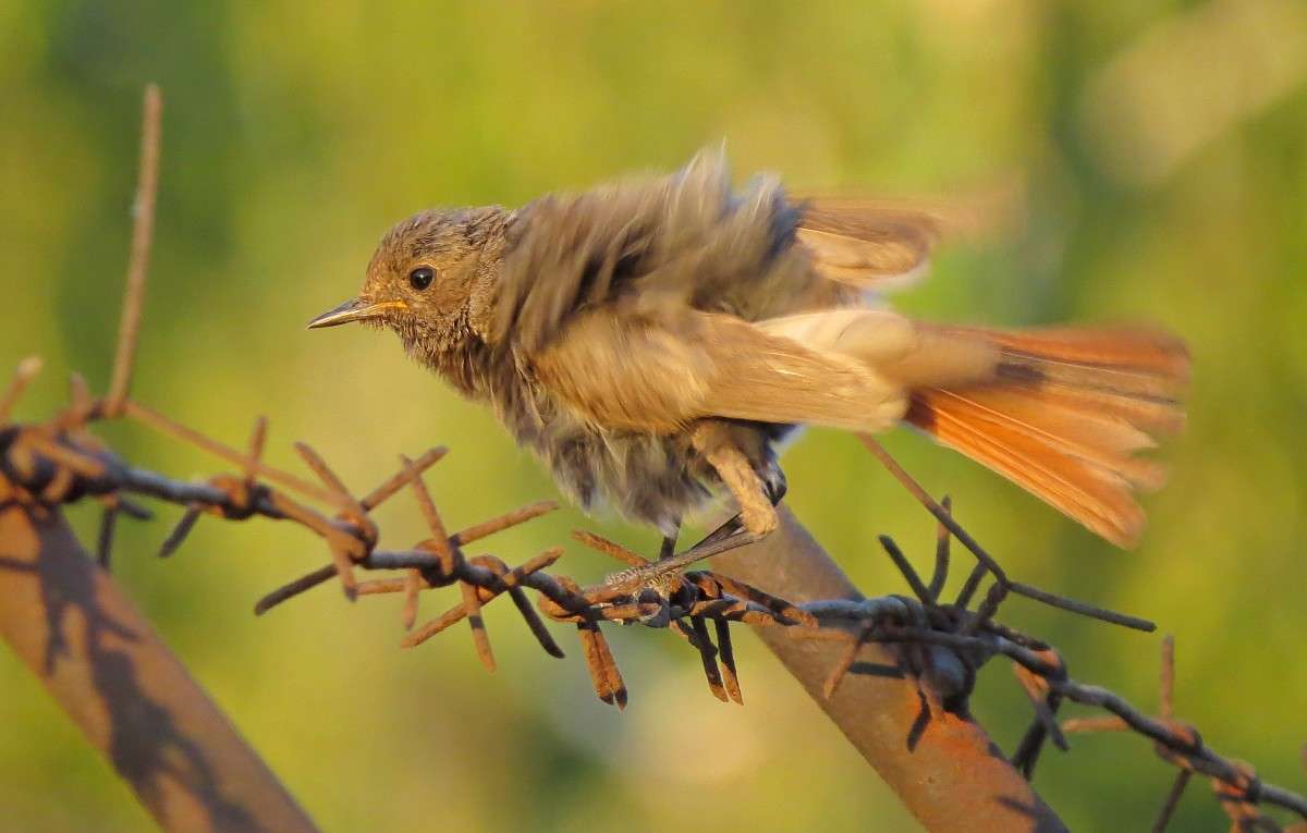 ������������� ����� �����  �� PhotoGeek.ru #�������� ��� #����� ��� ��� ���������