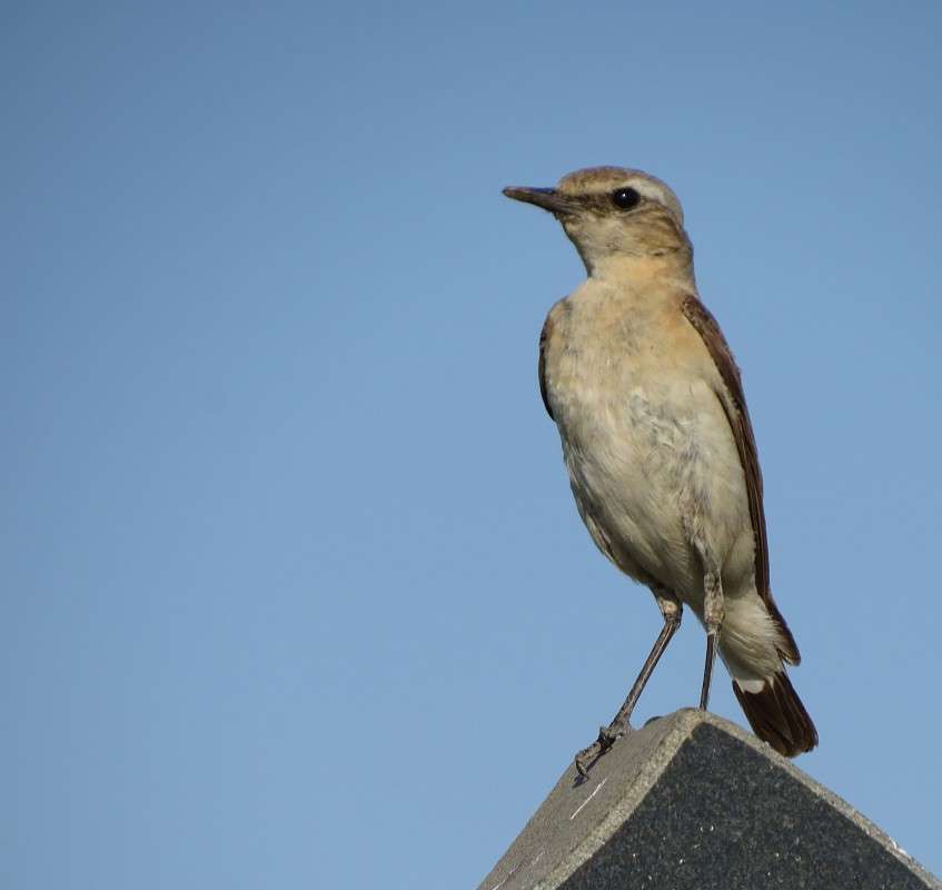 ��� ������� ����� �����  �� PhotoGeek.ru #�������� ��� #����� ��� ��� ���������