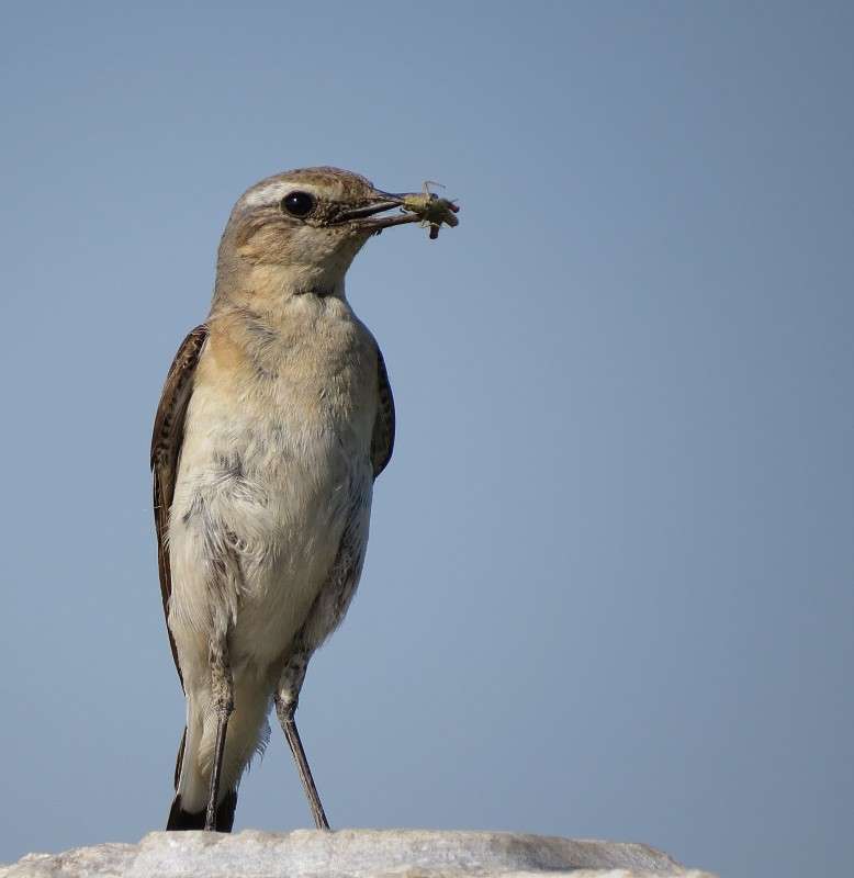 ������� ����� �����  �� PhotoGeek.ru #�������� ��� #����� ��� ��� ���������