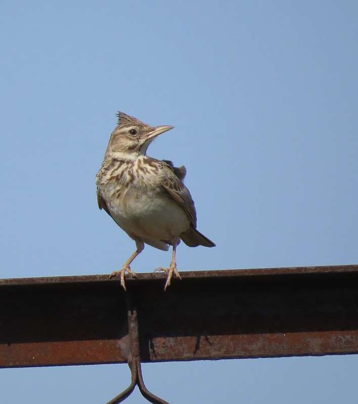 ��������� ����� �����  �� PhotoGeek.ru #�������� ��� #����� ��� ��� ���������