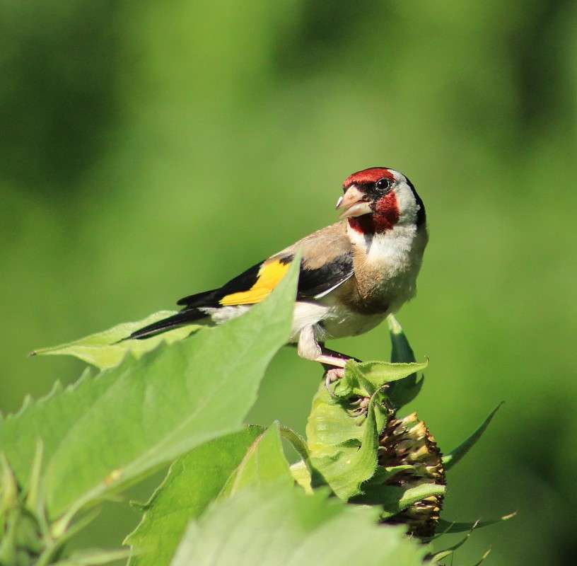 ����� ����� �����  �� PhotoGeek.ru #�������� ��� #����� ��� ��� ���������