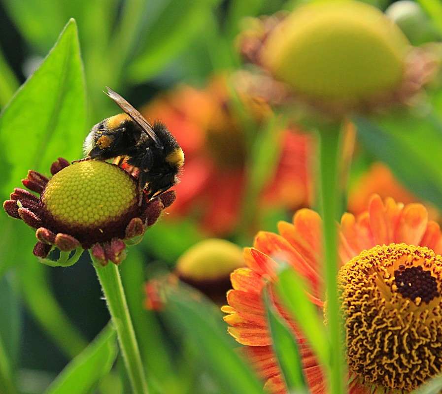 ������ ����� �����  �� PhotoGeek.ru #�������� ��� #������ ��� ������� #����� ��� ��� ��������� #����� ��������������