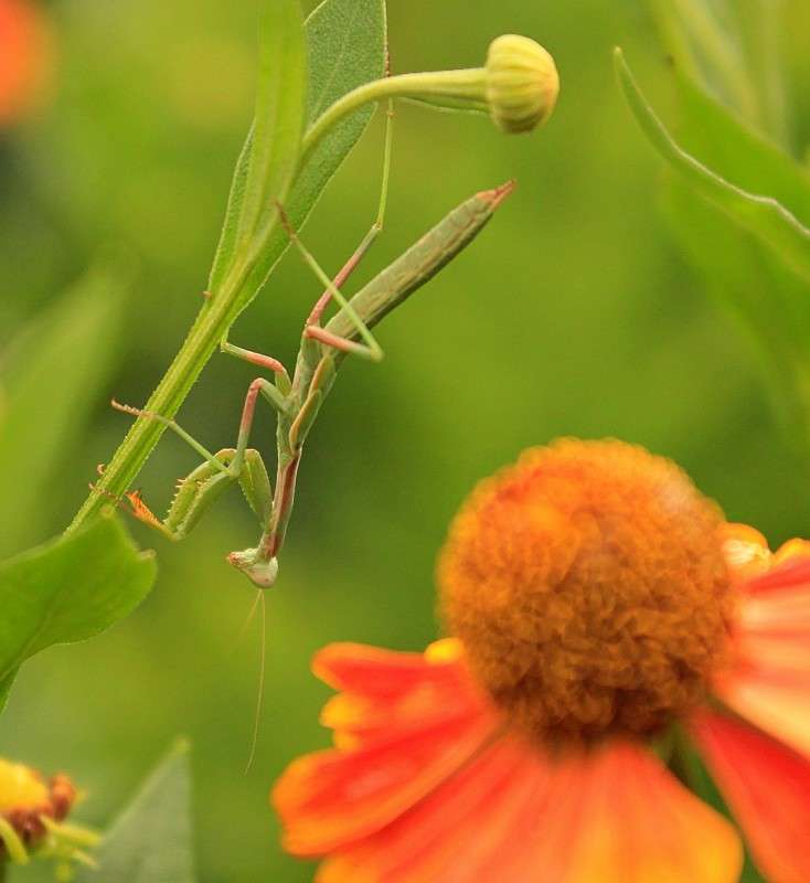 ���� �������� ����� �����  �� PhotoGeek.ru #����� #������ ��� ������� #����� ��������������