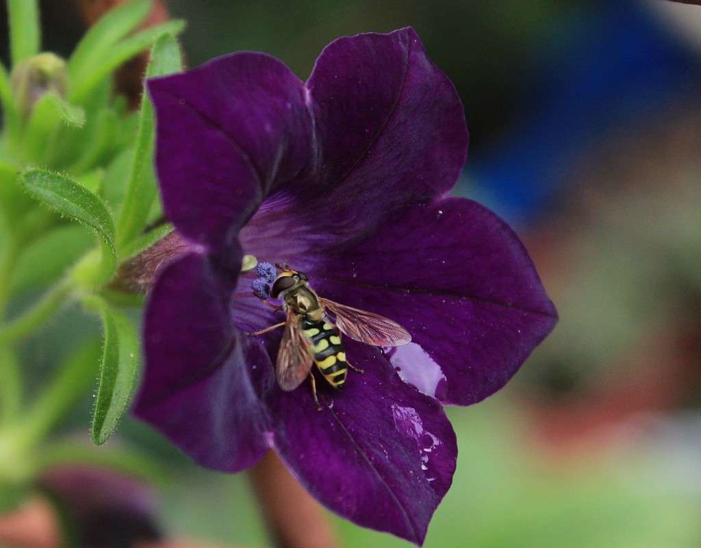 ��� ��� � ��� ��������? ����� �����  �� PhotoGeek.ru #������ ��� ������� #����� ��������������