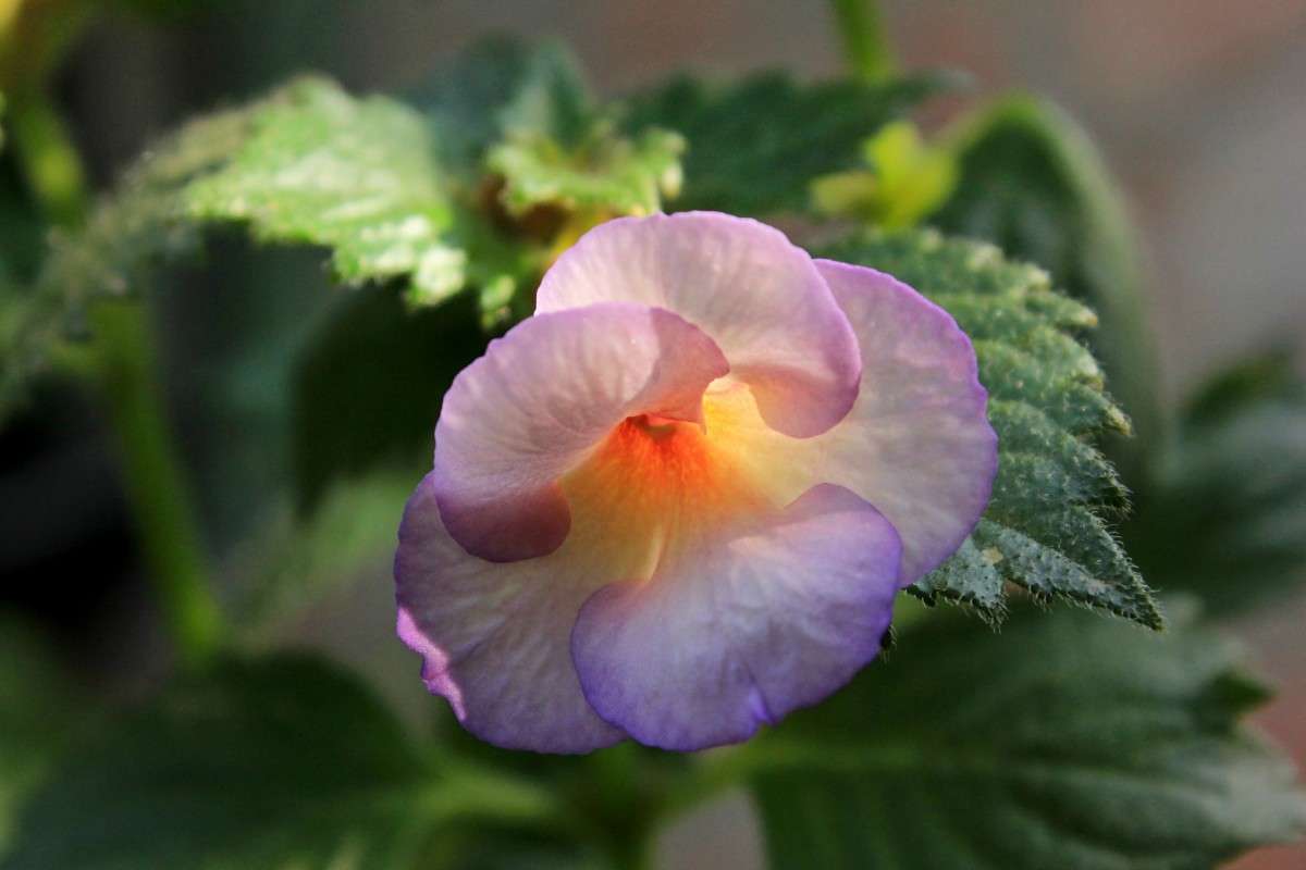 ��������� ����� �����  �� PhotoGeek.ru #������ ��� ������� #����� ��������������