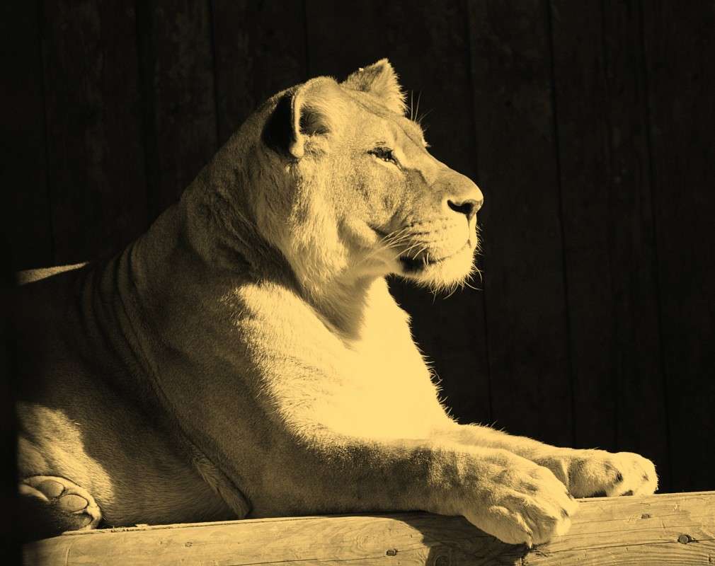 ������� ����� �����  �� PhotoGeek.ru #�������� ��� #����� ��� ��� ���������