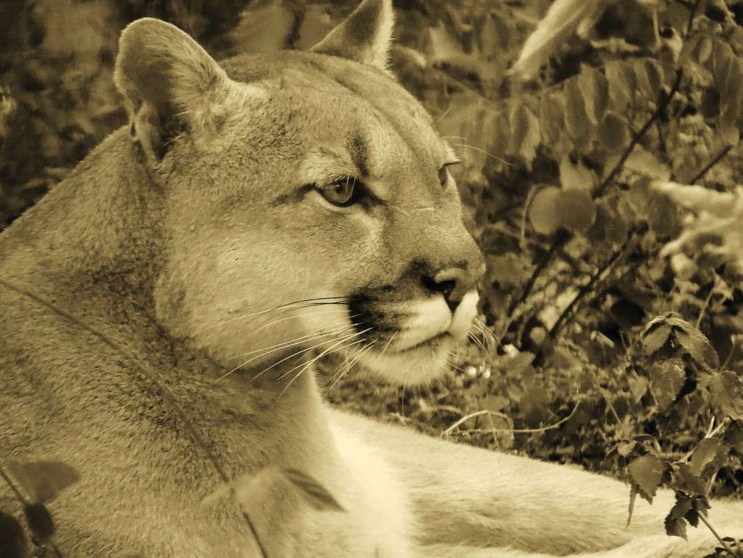 ... ����� �����  �� PhotoGeek.ru #�������� ��� #����� ��� ��� ���������