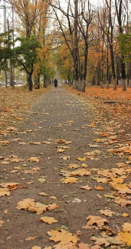 �����..... ����� �����  �� PhotoGeek.ru #������ ��� �������