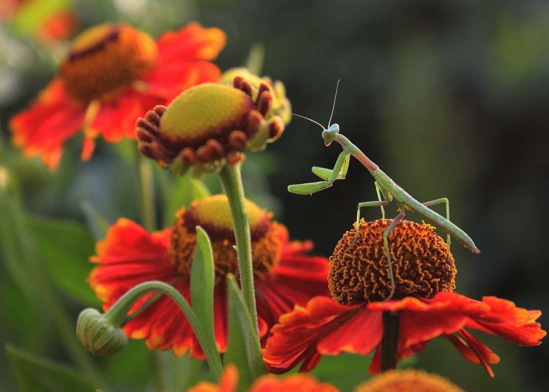 ... ����� �����  �� PhotoGeek.ru #������ ��� ������� #����� ��������������