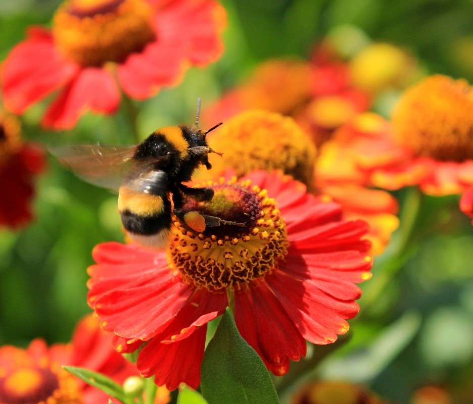 ... ����� �����  �� PhotoGeek.ru #������ ��� ������� #����� ��������������