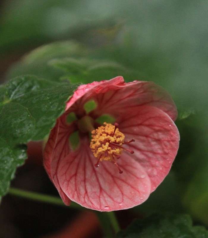 �������� ����� �����  �� PhotoGeek.ru #������ ��� ������� #����� ��������������