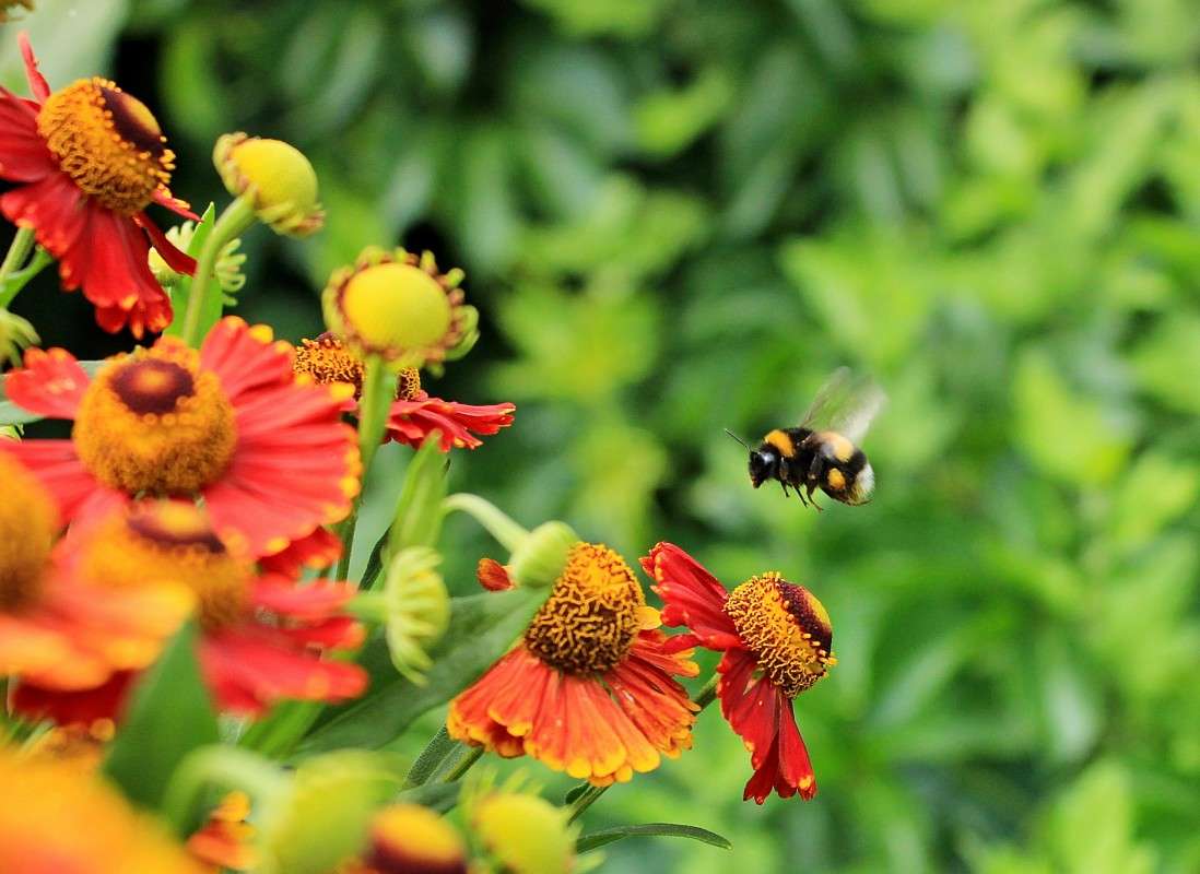 ... ����� �����  �� PhotoGeek.ru #������ ��� ������� #����� ��������������