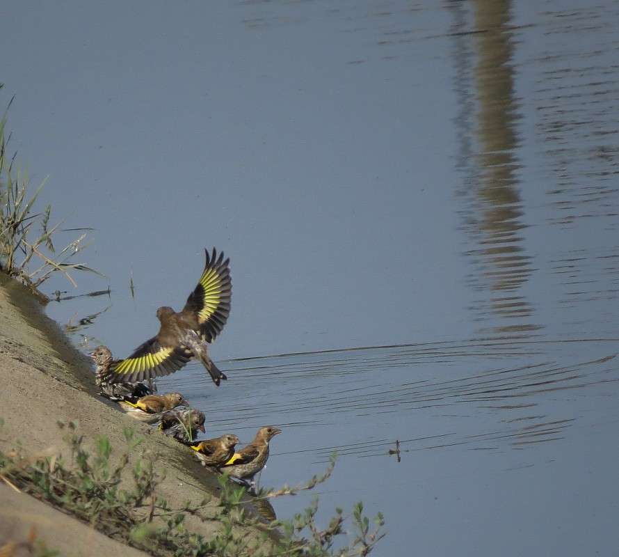 ������� ����� �����  �� PhotoGeek.ru #�������� ��� #����� ��� ��� ���������