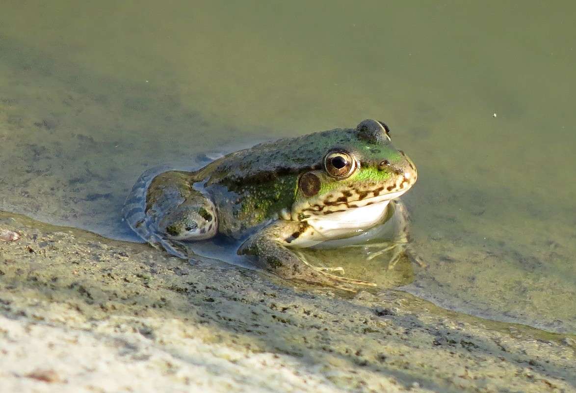 � �������� ������ ����� �����  �� PhotoGeek.ru #�������� ��� #����� ��� ��� ���������