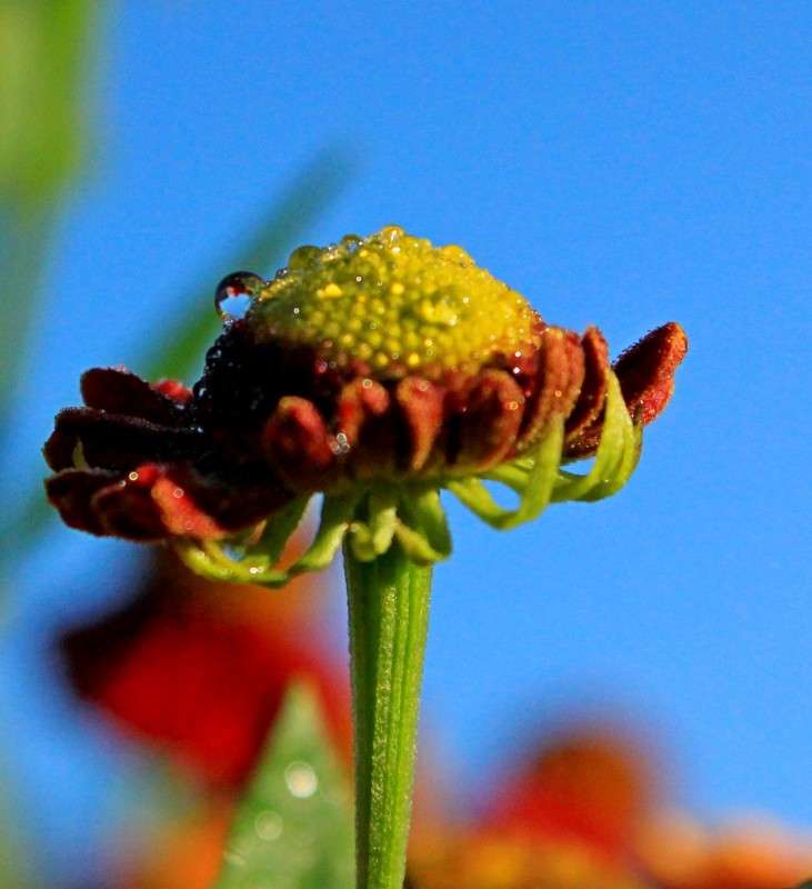 �������� ����� �����  �� PhotoGeek.ru #������ ��� ������� #����� ��������������