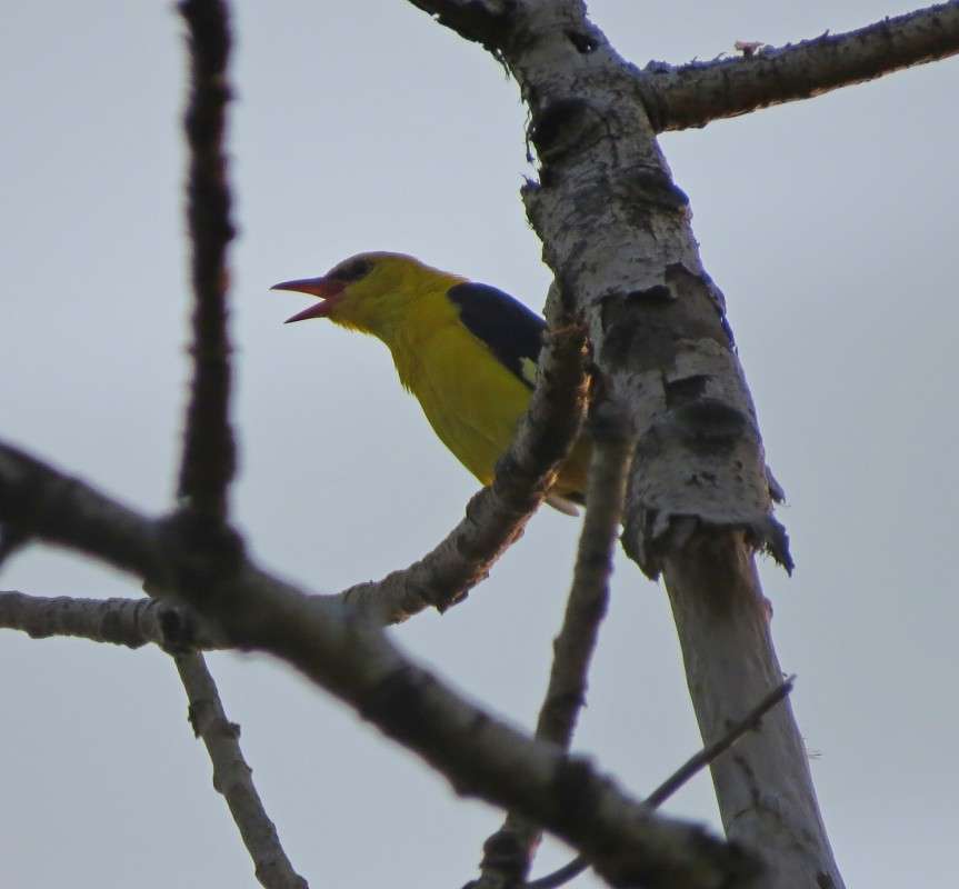 ������ ����� �����  �� PhotoGeek.ru #�������� ��� #����� ��� ��� ���������