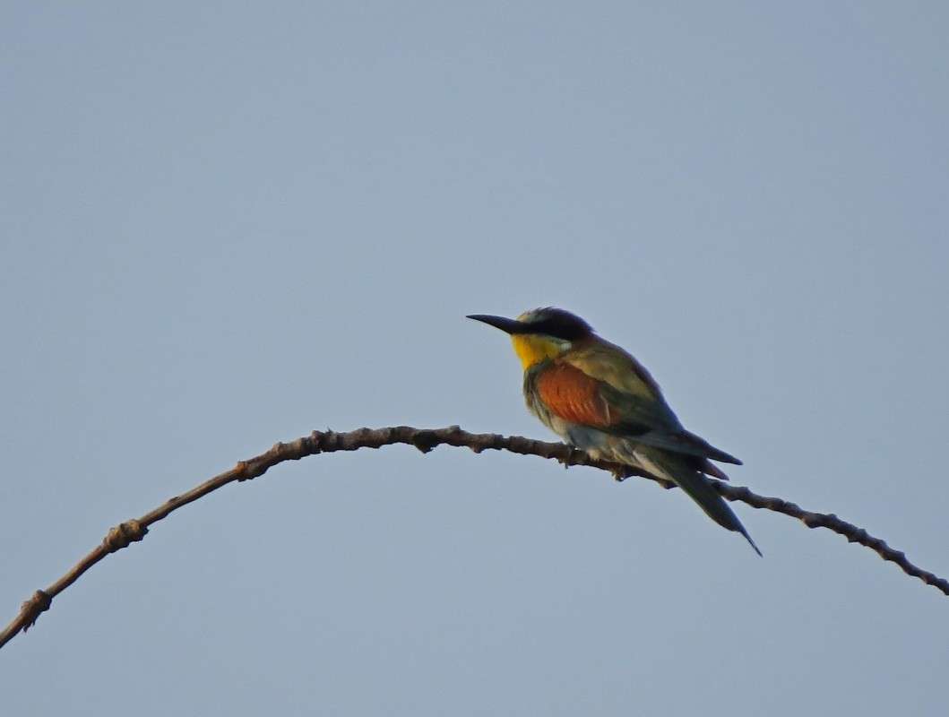 ����� ����� �����  �� PhotoGeek.ru #�������� ��� #����� ��� ��� ���������