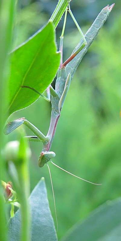 �� �������� ����� ����� ����� �����  �� PhotoGeek.ru #�������� ��� #����� ��� ��� ���������