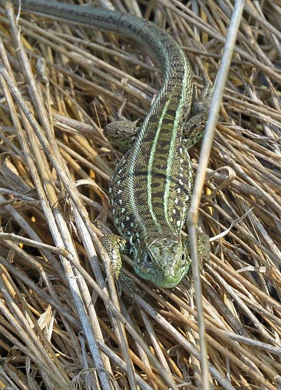 ���� �� ����� �����  �� PhotoGeek.ru #�������� ��� #����� ��� ��� ���������