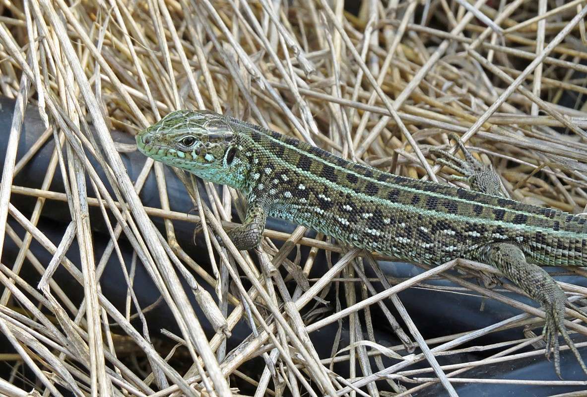 ���� ��1 ����� �����  �� PhotoGeek.ru #�������� ��� #����� ��� ��� ���������