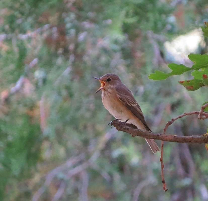 ����� ����� �����  �� PhotoGeek.ru #�������� ��� #����� ��� ��� ���������