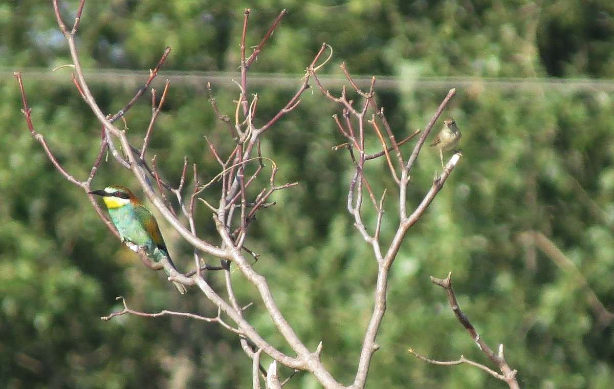 ����� � ������ ����� �����  �� PhotoGeek.ru #�������� ��� #����� ��� ��� ���������