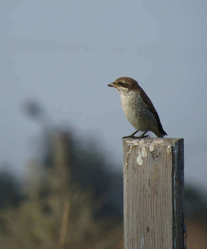 ����������� ����� �����  �� PhotoGeek.ru #�������� ��� #����� ��� ��� ���������