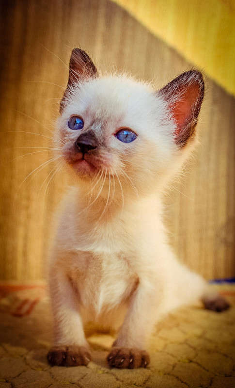 ������� �� ����� ���) ����� �����  �� PhotoGeek.ru #�������� ��� #�������� ���