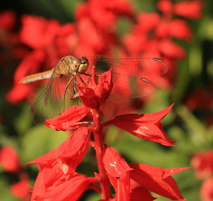 ... ����� �����  �� PhotoGeek.ru #������ ��� �������