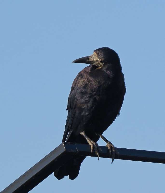 ... ����� �����  �� PhotoGeek.ru #�������� ��� #����� ��� ��� ���������