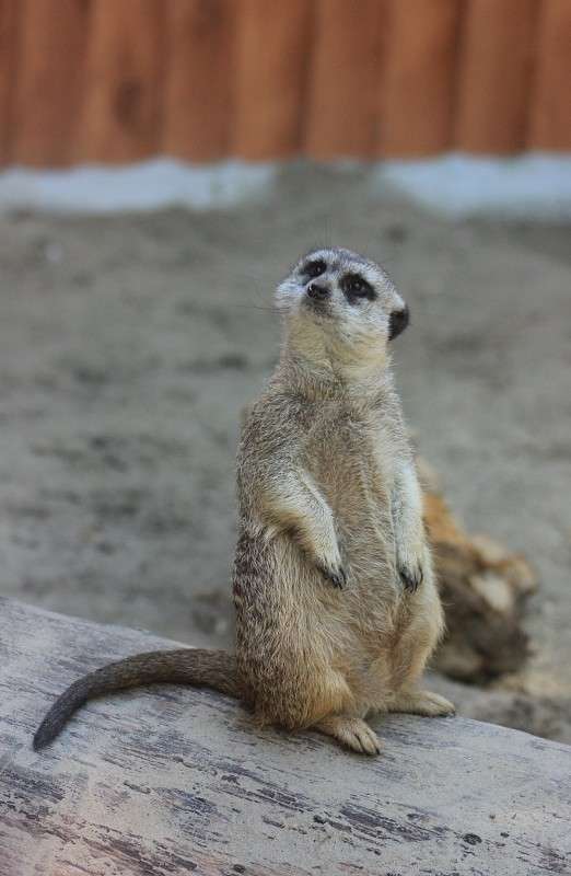 ��� �� ��������? ����� �����  �� PhotoGeek.ru #�������� ��� #����� ��� ��� ���������