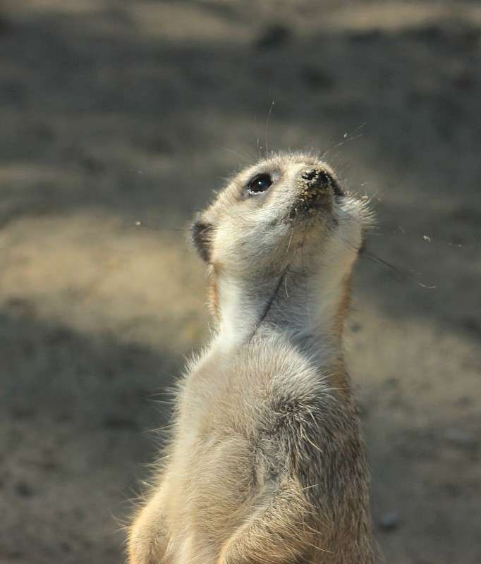 ))) ����� �����  �� PhotoGeek.ru #�������� ���