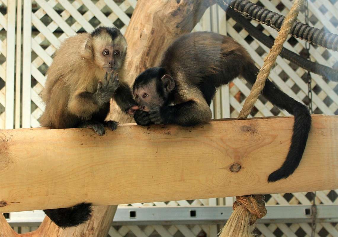 ����� ���� ����..) ����� �����  �� PhotoGeek.ru #�������� ��� #����� ��� ��� ���������