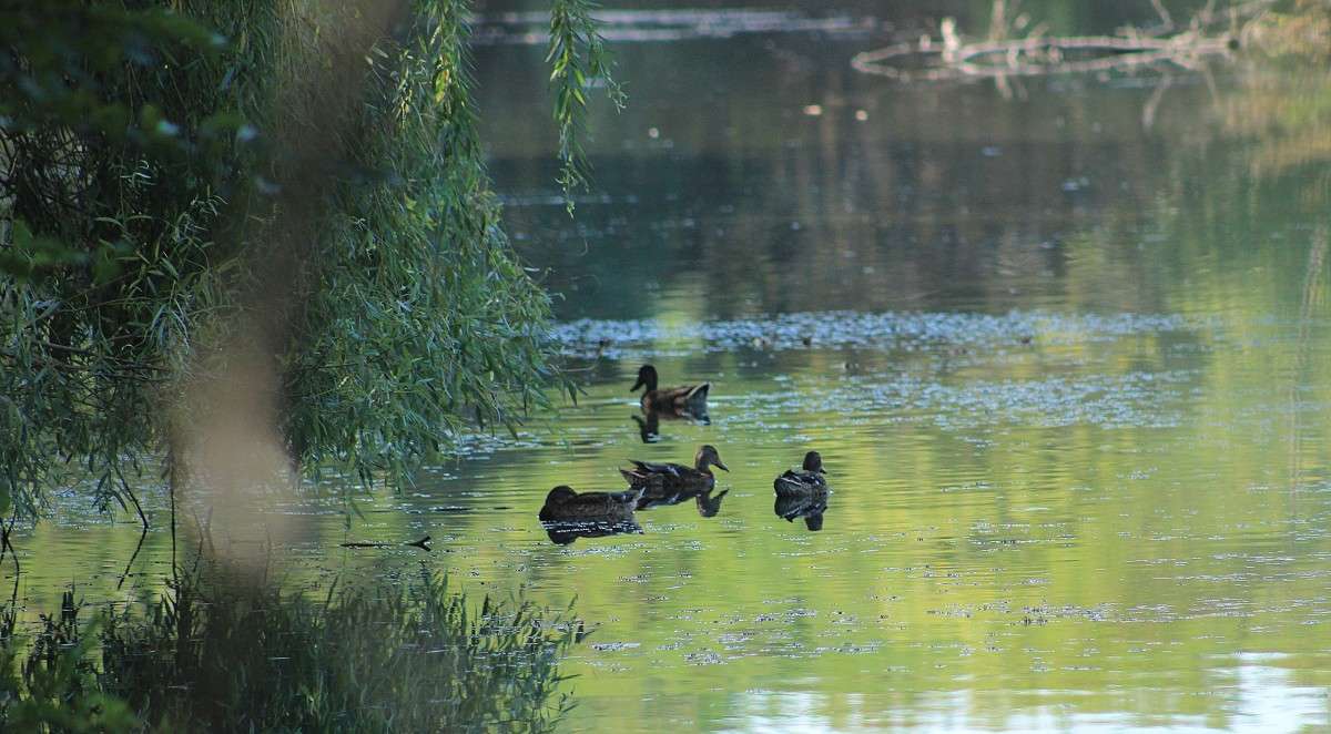 ������ ����� �����  �� PhotoGeek.ru #�������� ��� #������ ��� �������