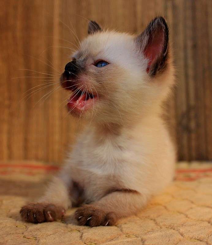 ������ ����� �����  �� PhotoGeek.ru #�������� ��� #�������� ���