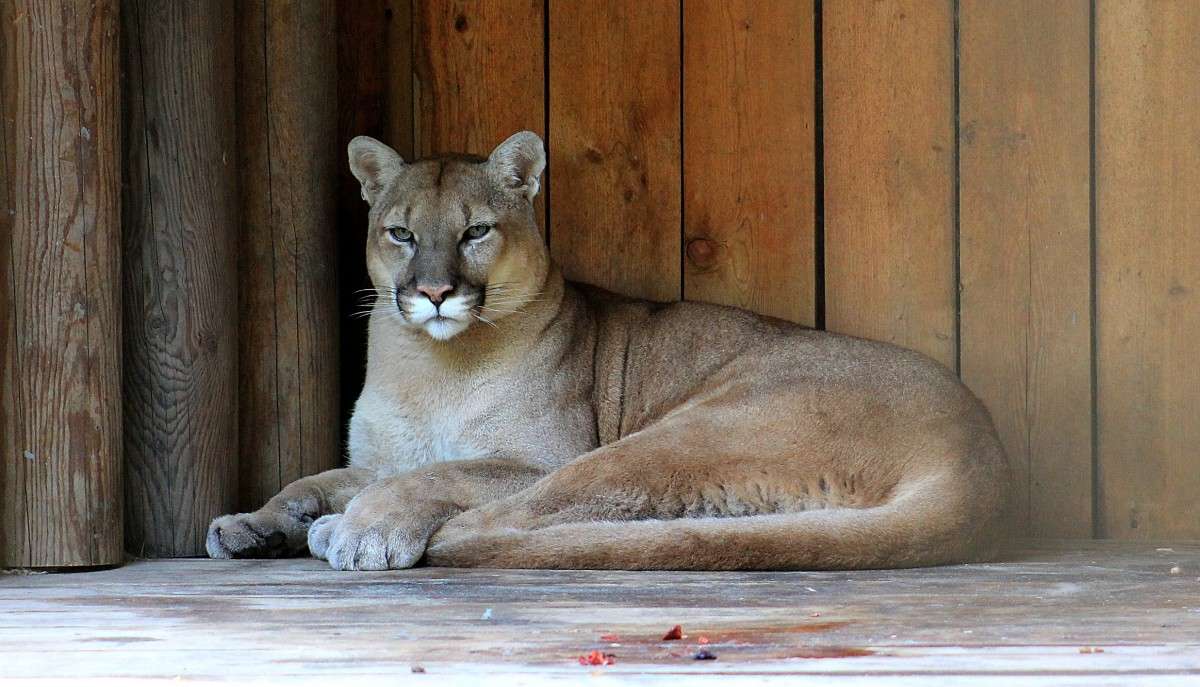 ��� ����� �����  �� PhotoGeek.ru #�������� ��� #����� ��� ��� ���������