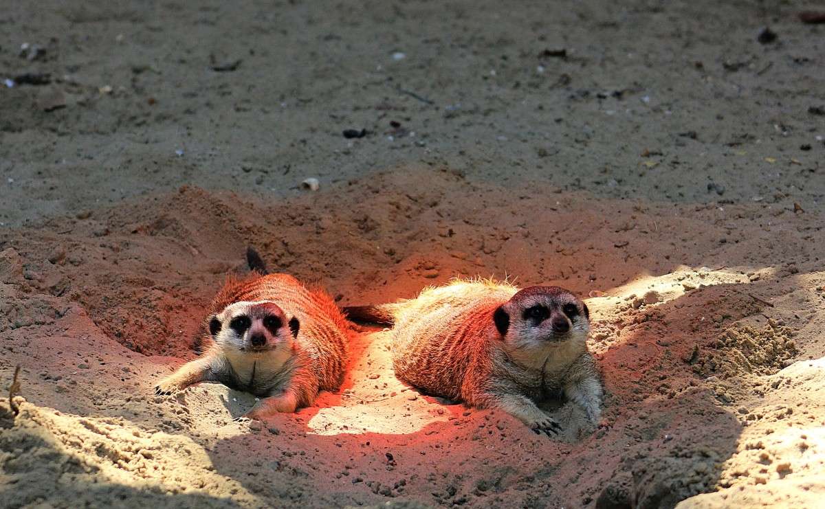 � ������� ����� �����  �� PhotoGeek.ru #�������� ��� #����� ��� ��� ���������